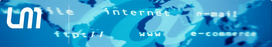Loris Marini - Information Technology Consultant